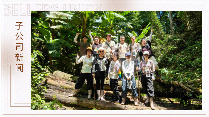 探雨林秘境，與森林同呼吸——記優(yōu)景公司年中西雙版納團建旅游
